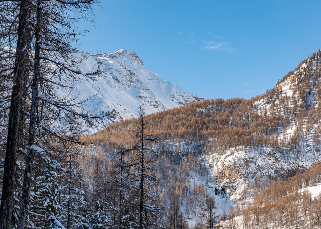 randonnée raquettes aux orres dans la neige