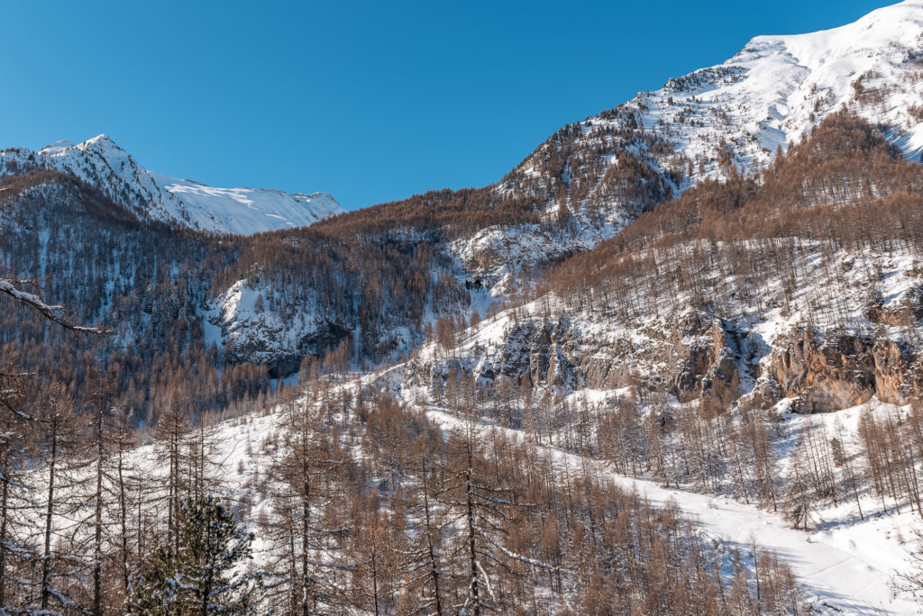 randonnée raquettes aux orres dans la neige