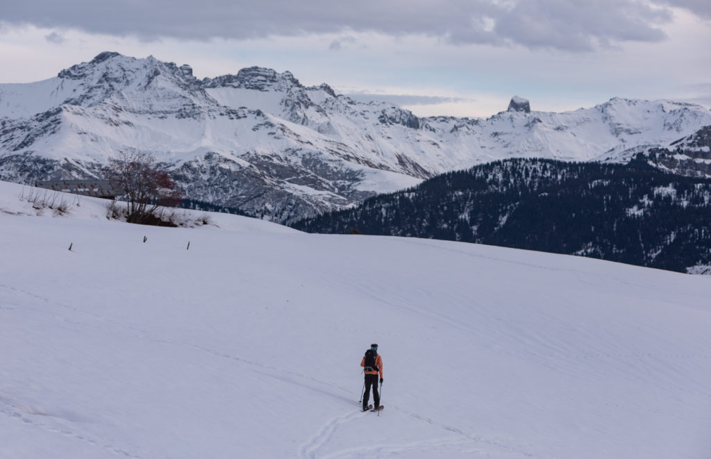 que faire aux saisies ski hok ski raquette