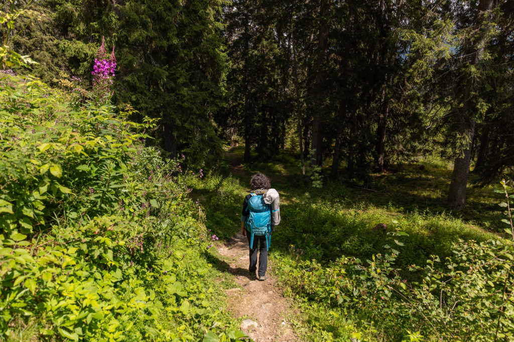 Que faire dans le Beaufortain, que faire aux Saisies ? Bain de forêt aux Saisies