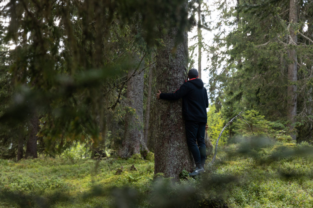 Que faire dans le Beaufortain, que faire aux Saisies ? Bain de forêt aux Saisies