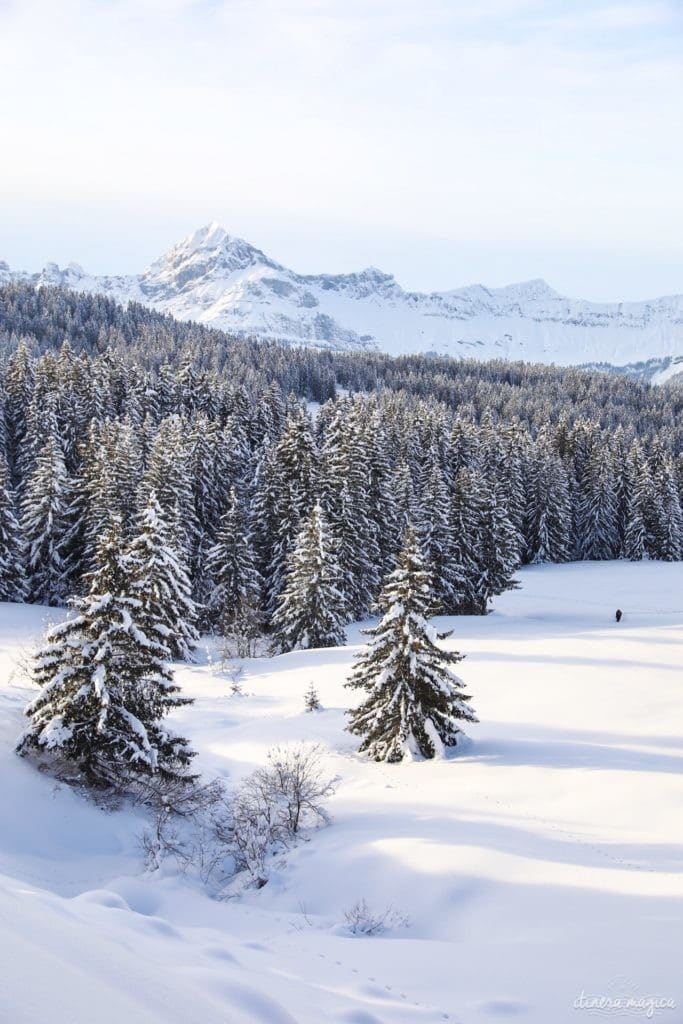 Les Saisies ou le ski en pleine nature. Que faire aux Saisies ? Activités outdoor et bonnes adresses