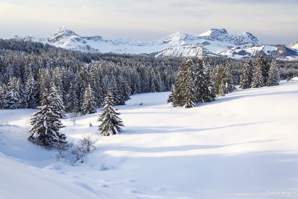 Les Saisies ou le ski en pleine nature. Que faire aux Saisies ? Activités outdoor et bonnes adresses