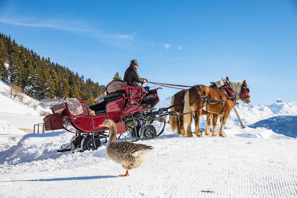 Les Saisies ou le ski en pleine nature. Que faire aux Saisies ? Activités outdoor et bonnes adresses