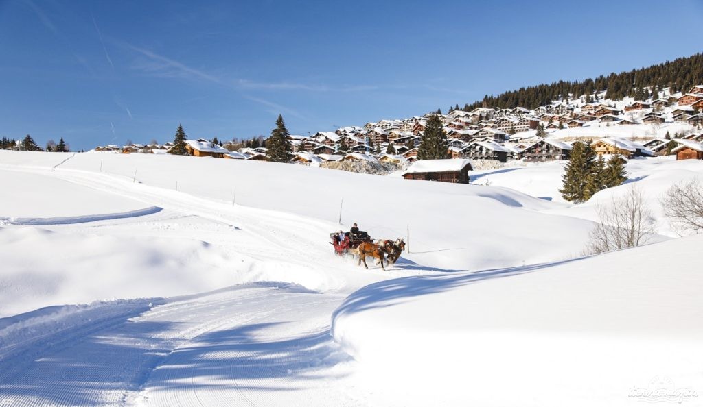 Les Saisies ou le ski en pleine nature. Que faire aux Saisies ? Activités outdoor et bonnes adresses