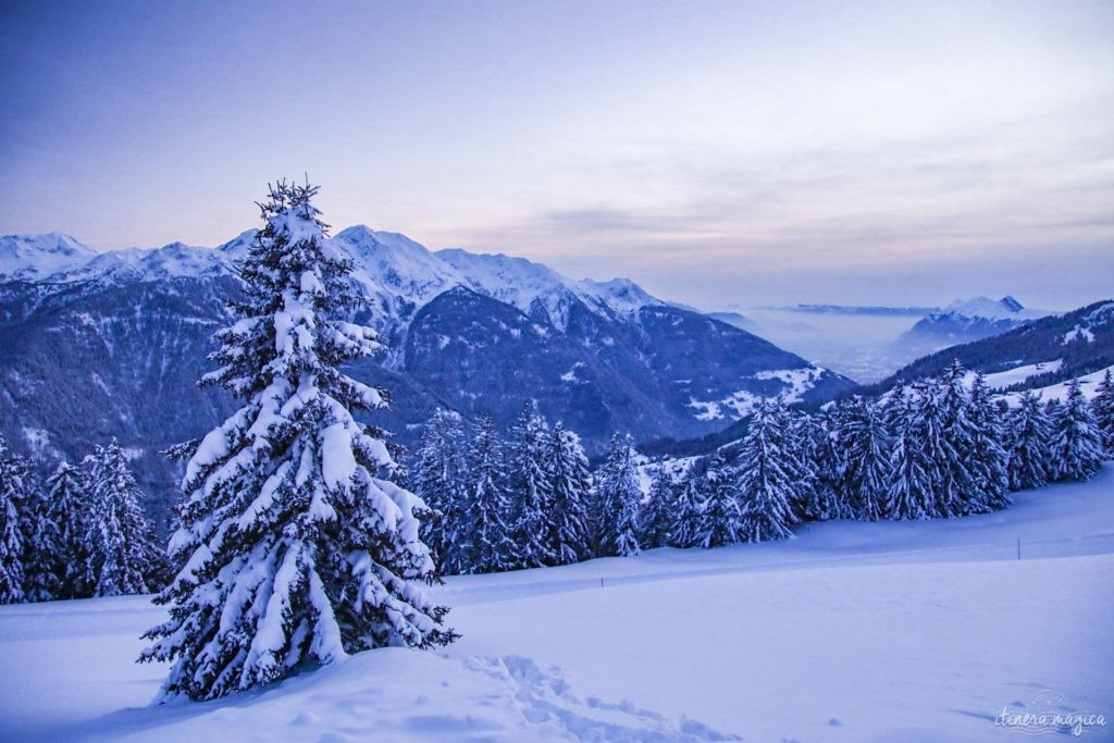 Les Saisies ou le ski en pleine nature. Que faire aux Saisies ? Activités outdoor et bonnes adresses