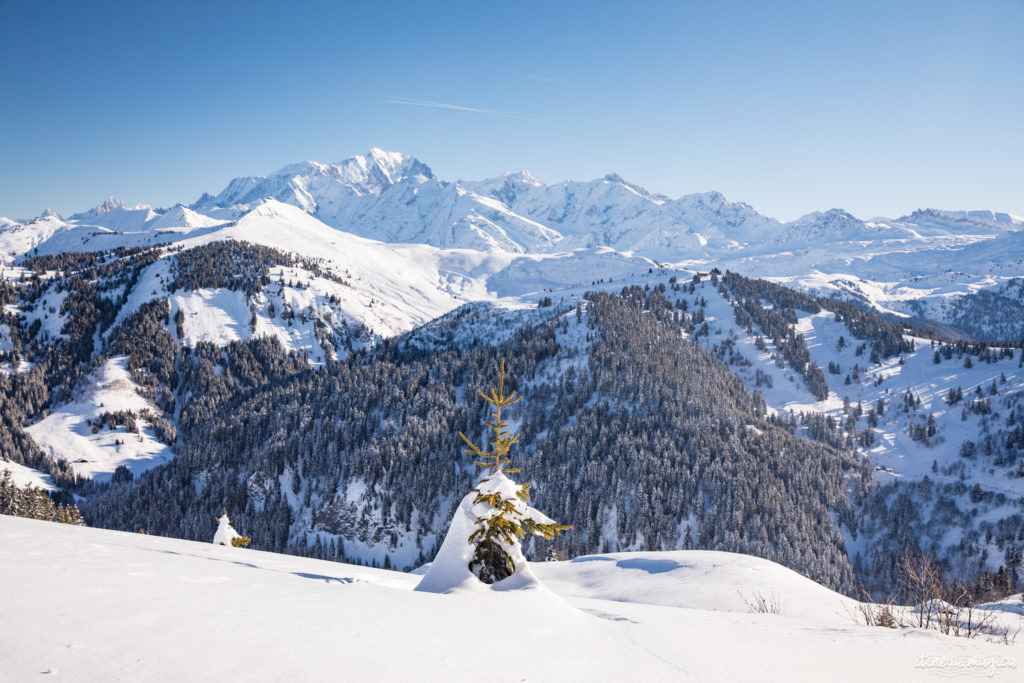 Sauvons les petites stations de ski : plaidoyer en faveur des enneigeurs et des hélicos.