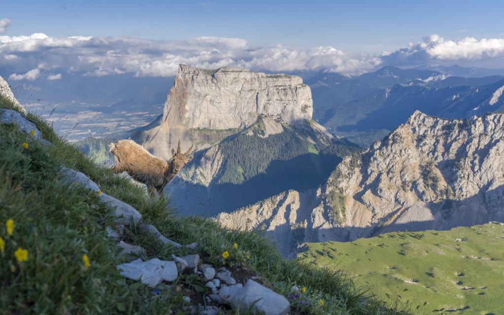 carte postale des alpes