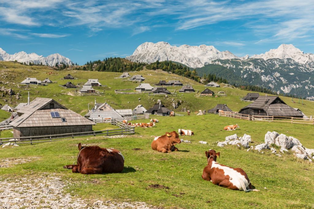 Un beau livre sur les Alpes à offrir : les Alpes, on les aime pour, par Ariane Fornia