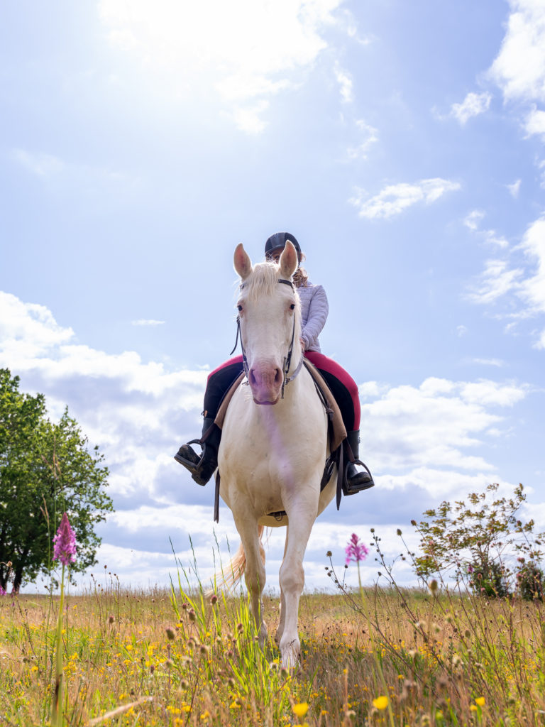 Les chemins de Saint Jacques dans le Lot, à cheval. Randonnée équestre dans le Lot. 