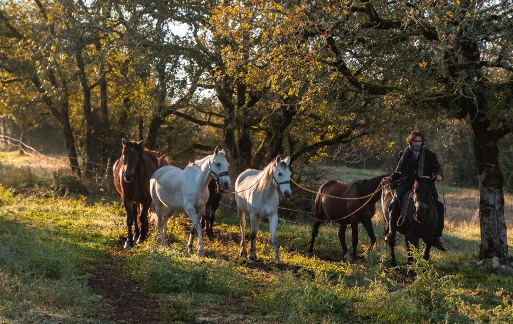 Les chemins de Saint Jacques dans le Lot, à cheval. Randonnée équestre dans le Lot