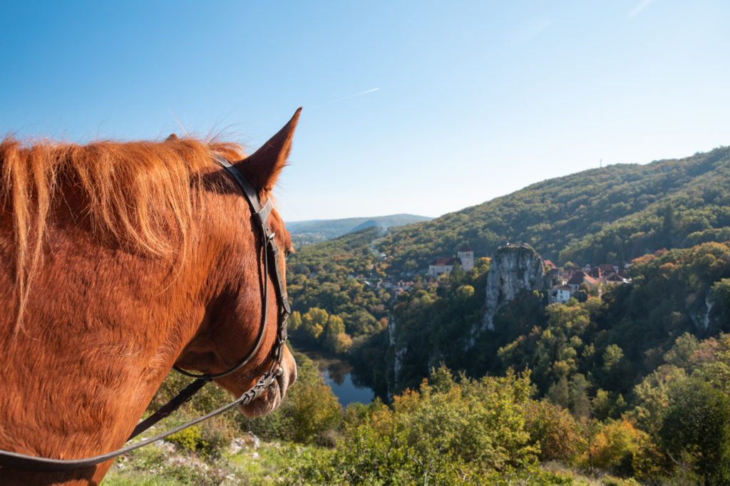 Les chemins de Saint Jacques dans le Lot, à cheval. Randonnée équestre dans le Lot. Saint Cirq lapopie