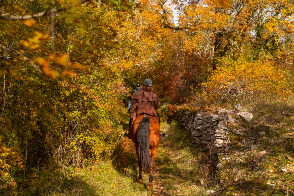 Les chemins de Saint Jacques dans le Lot, à cheval. Randonnée équestre dans le Lot