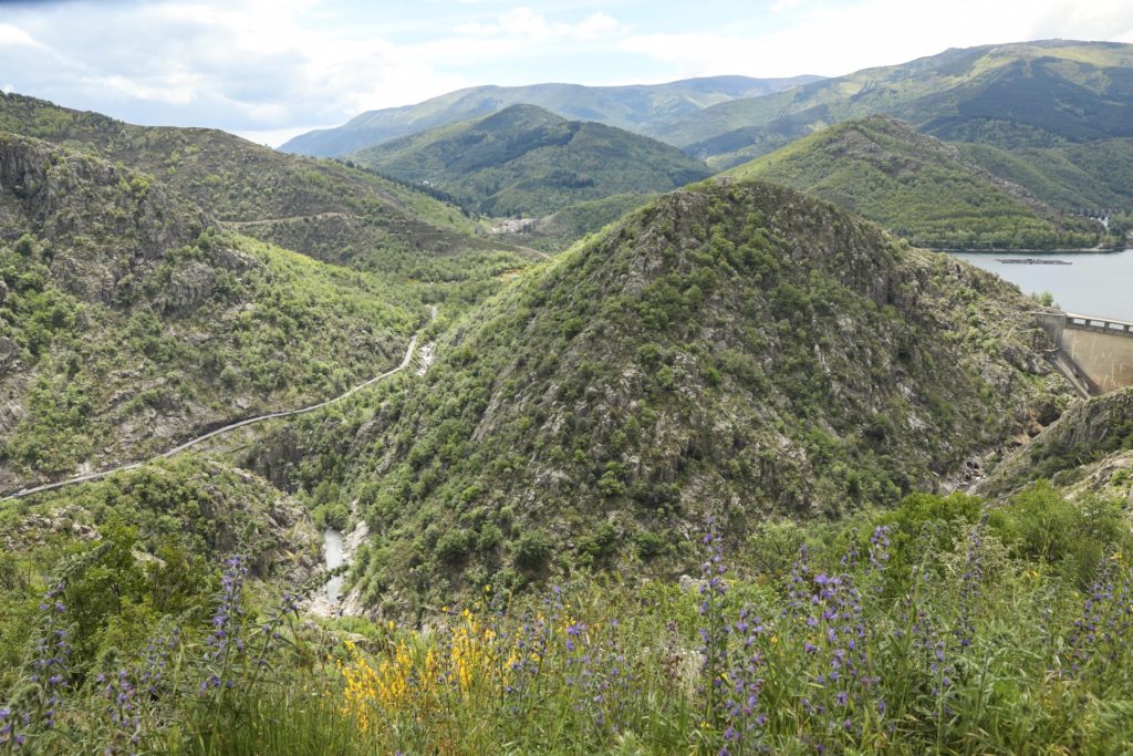 Que faire en Lozère ? Lozère tourisme