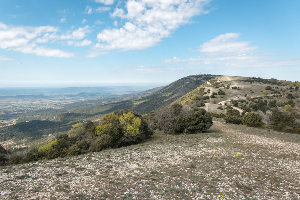 Randonnée sur le Mourre Nègre, point culminant du Luberon