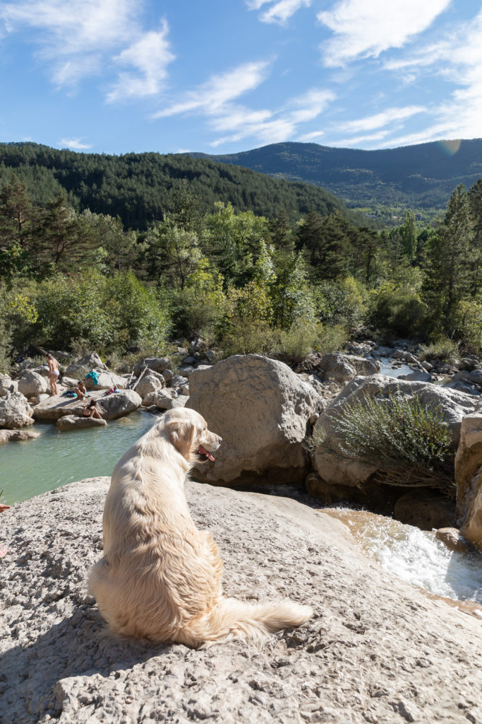 Randonner avec son chien dans la Drôme