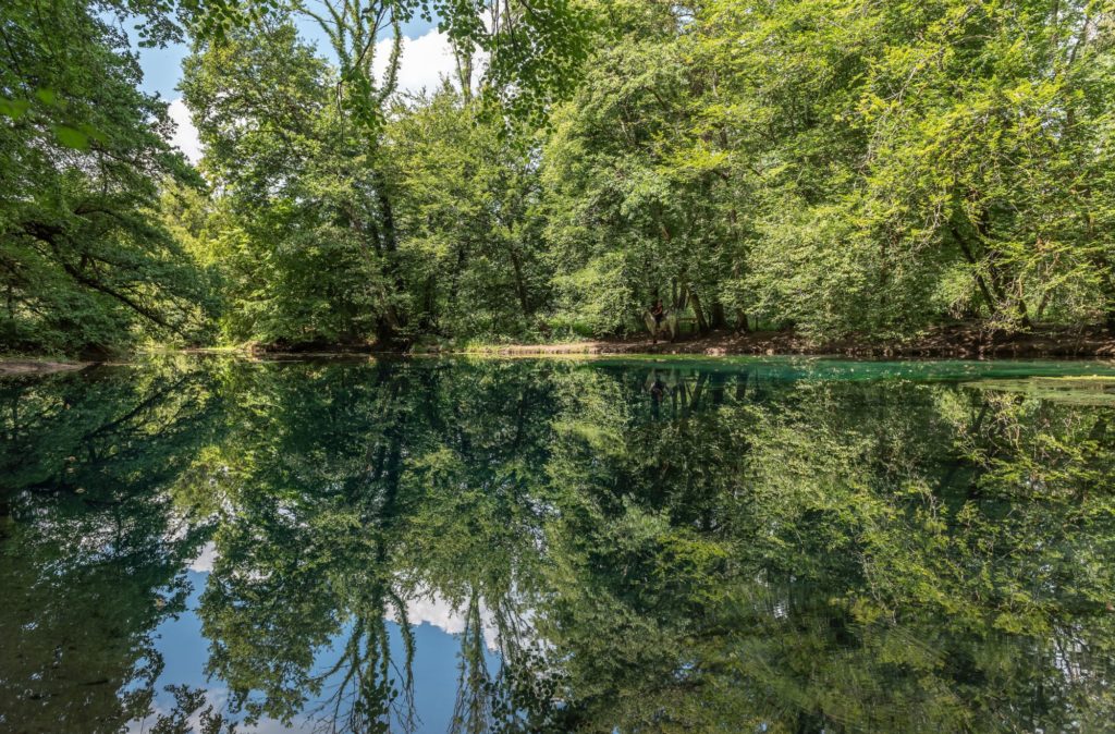 La source du Planey, site sublime dans les Vosges du Sud