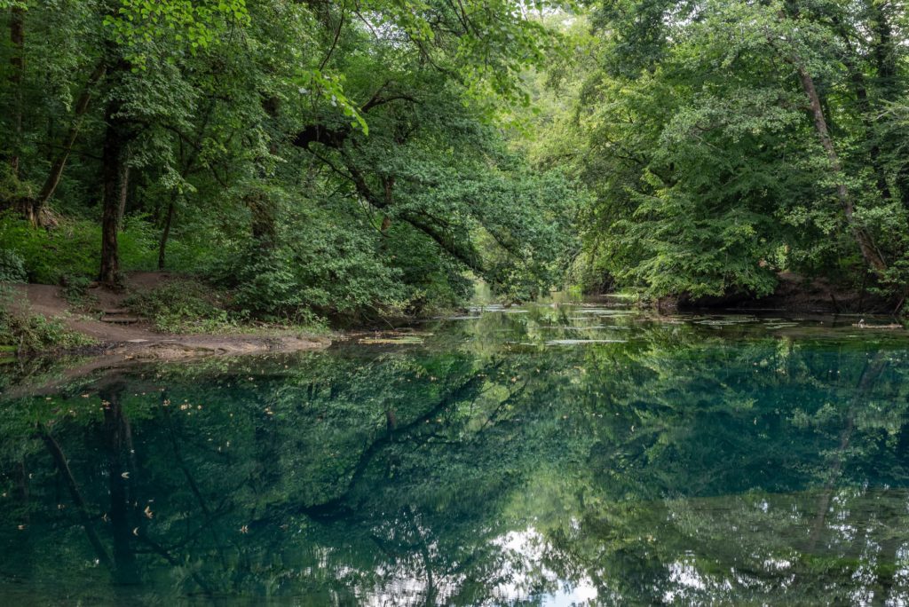 La source du Planey, site sublime dans les Vosges du Sud