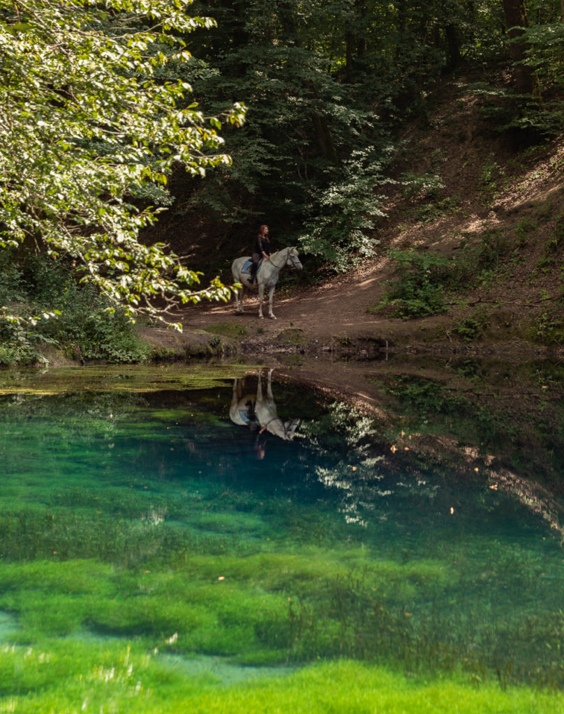 La source du Planey, site sublime dans les Vosges du Sud