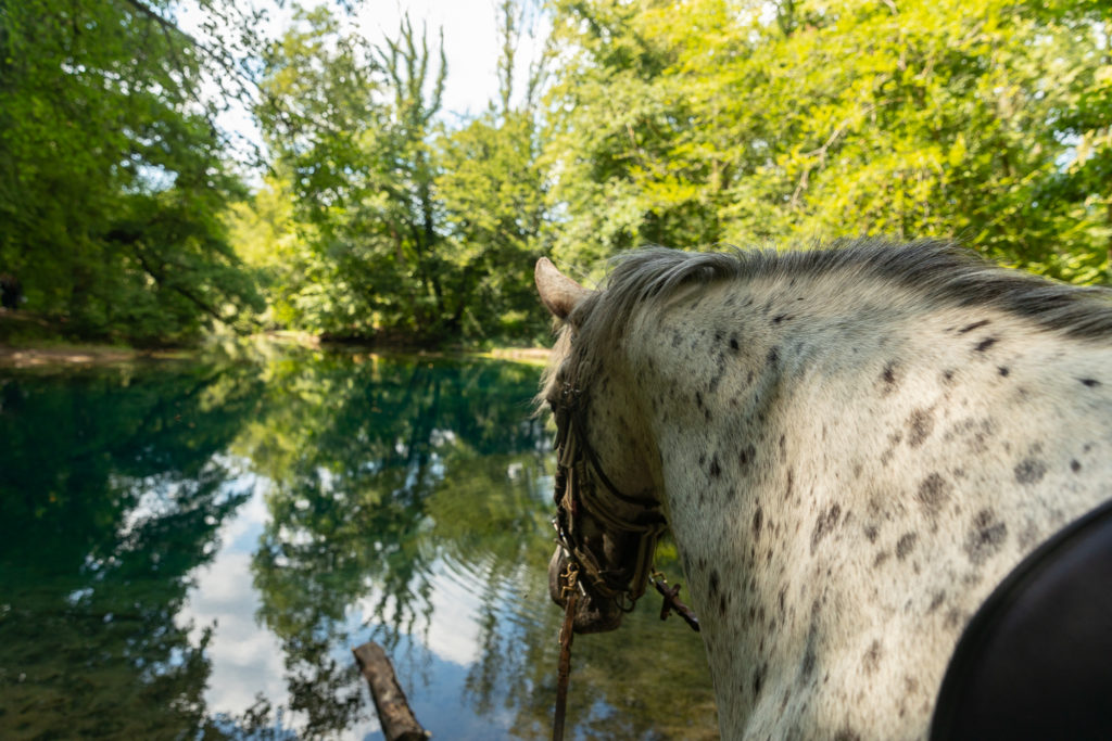 La source du Planey, site sublime dans les Vosges du Sud