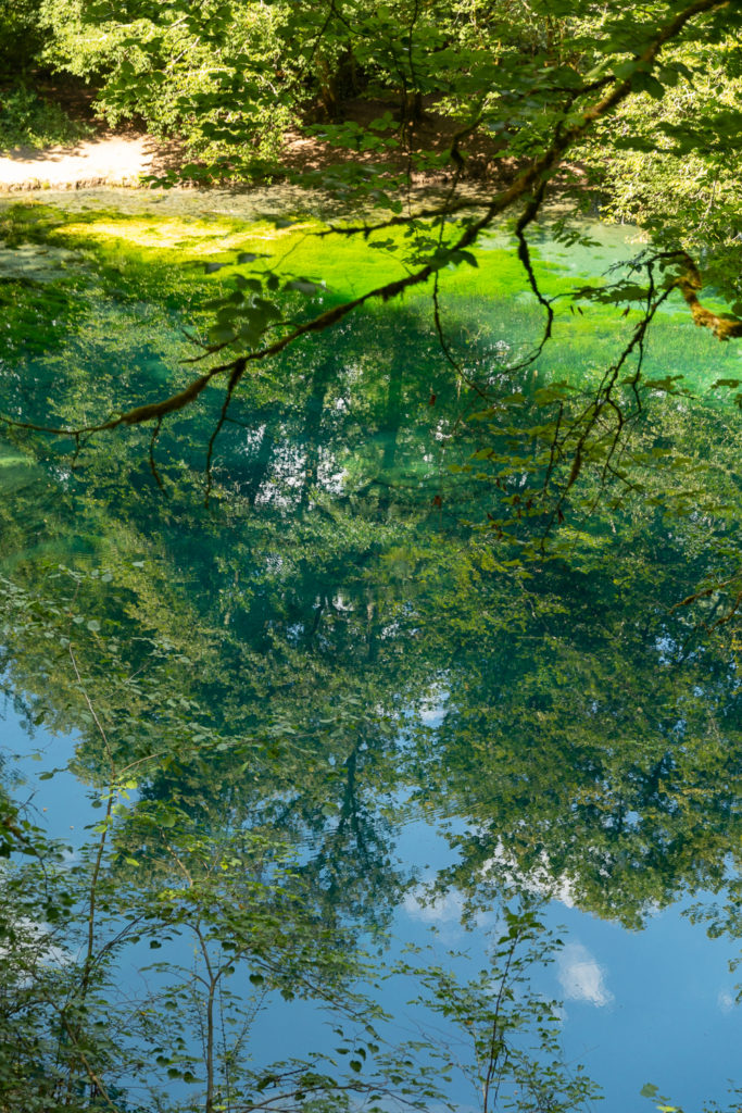 La source du Planey, site sublime dans les Vosges du Sud