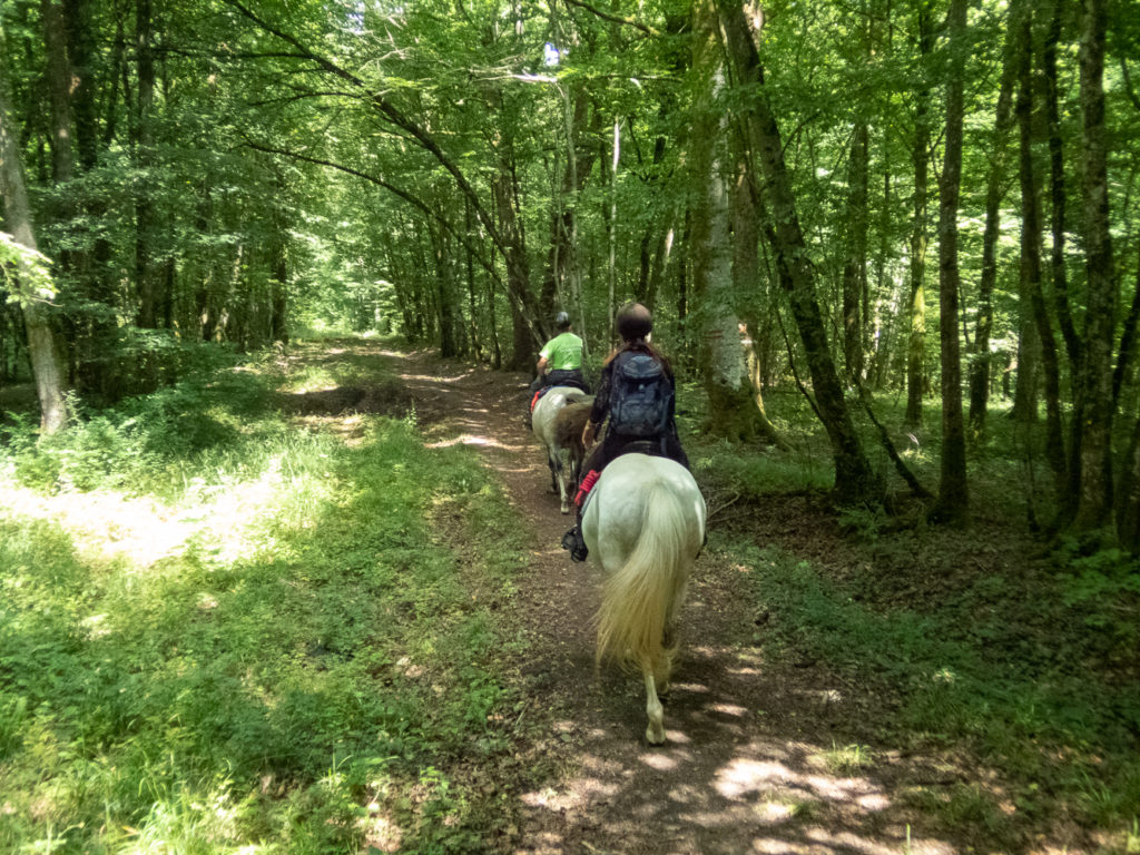 tourisme équestre vosges du sud