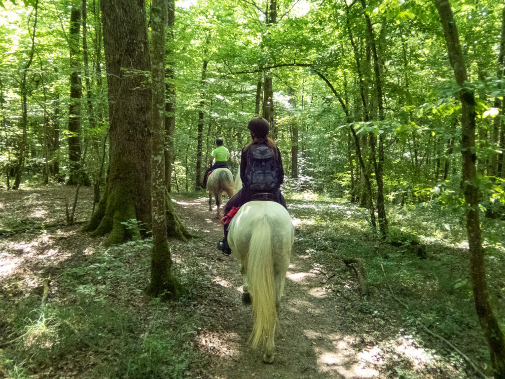 tourisme équestre vosges du sud