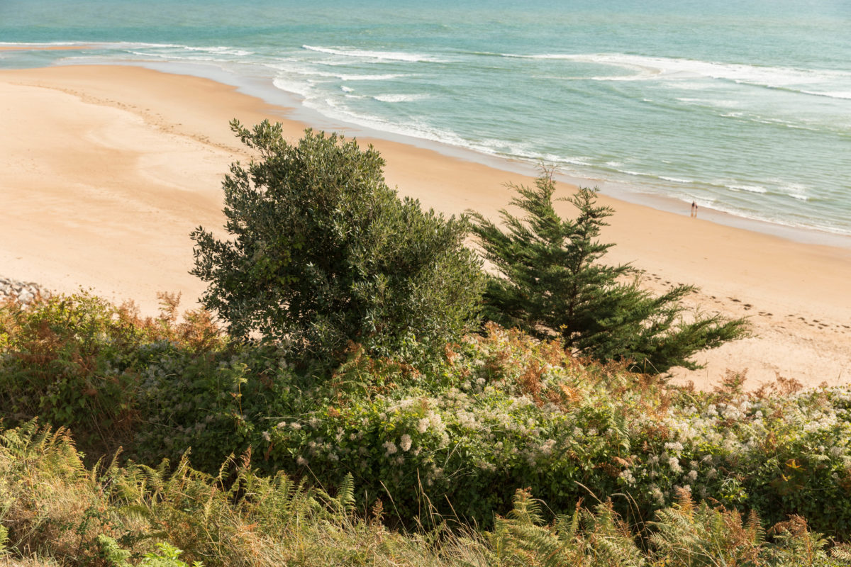 Des vacances dans la Manche, cela vous tente ? Tout pour visiter la Manche : le Cotentin, Barneville Carteret, le nez de Jobourg, la côte des Havres, Chausey. Que voir dans la Manche ?