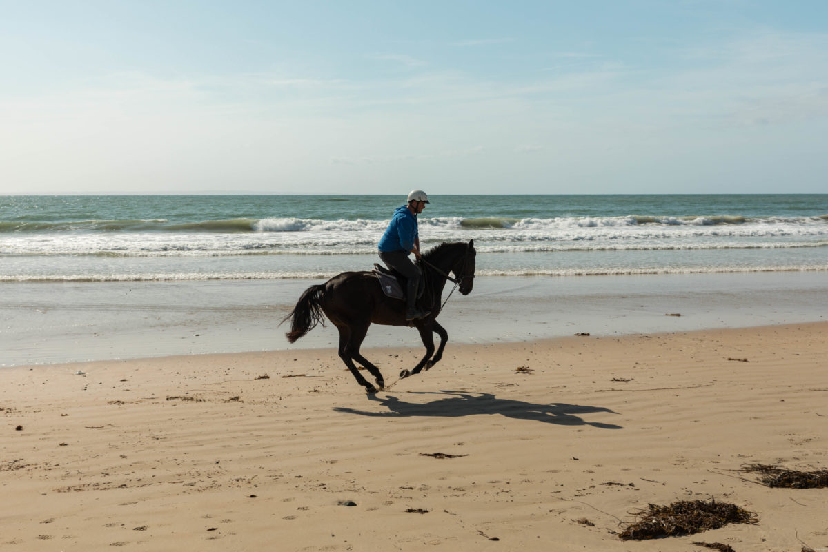 Des vacances dans la Manche, cela vous tente ? Tout pour visiter la Manche : le Cotentin, Barneville Carteret, le nez de Jobourg, la côte des Havres, Chausey. Que voir dans la Manche ?