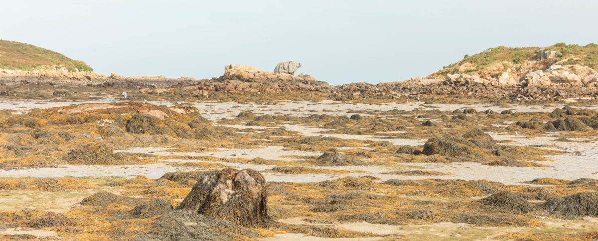 Visiter Chausey dans la Manche