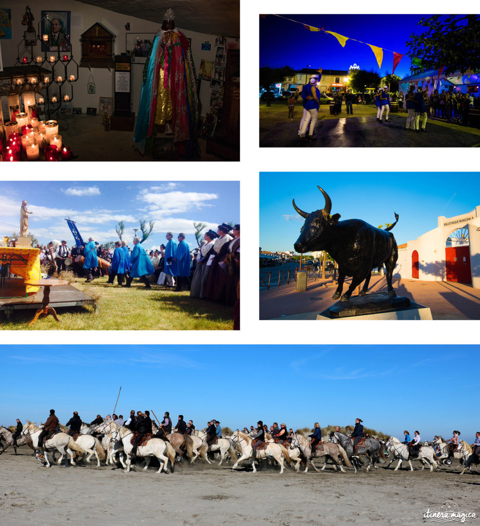 Que faire en Camargue ? Balades à cheval, bonnes adresses, incontournables, retrouvez tout sur le Camargue.