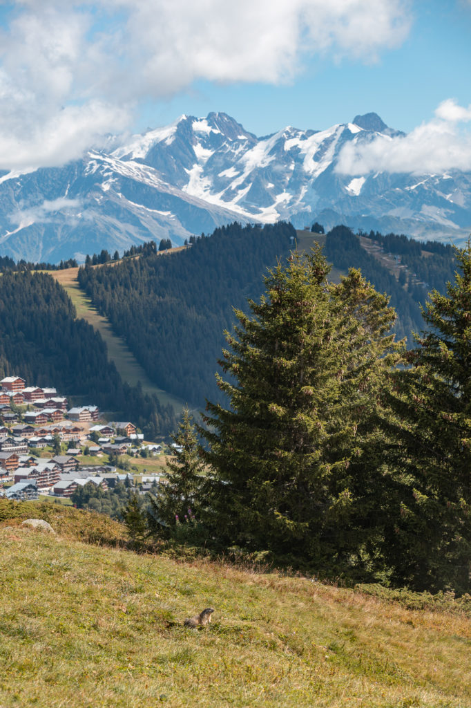 Que faire aux Saisies ? Séjour d'été aux Saisies, randonnées et activités