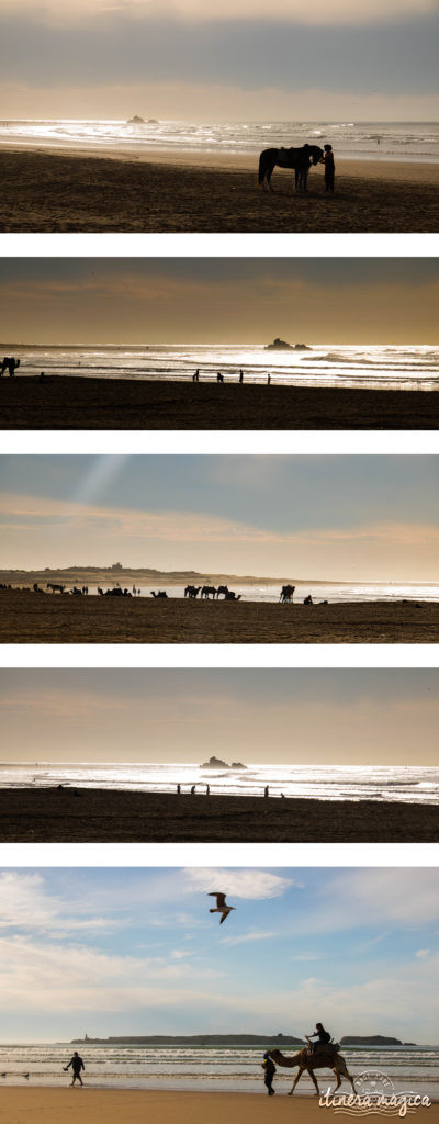 Plage d'Essaouira, Maroc