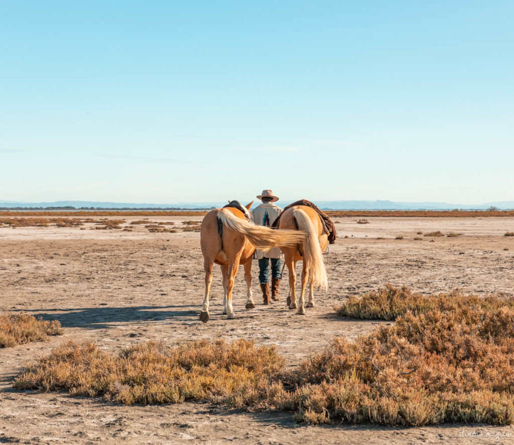 week end en camargue