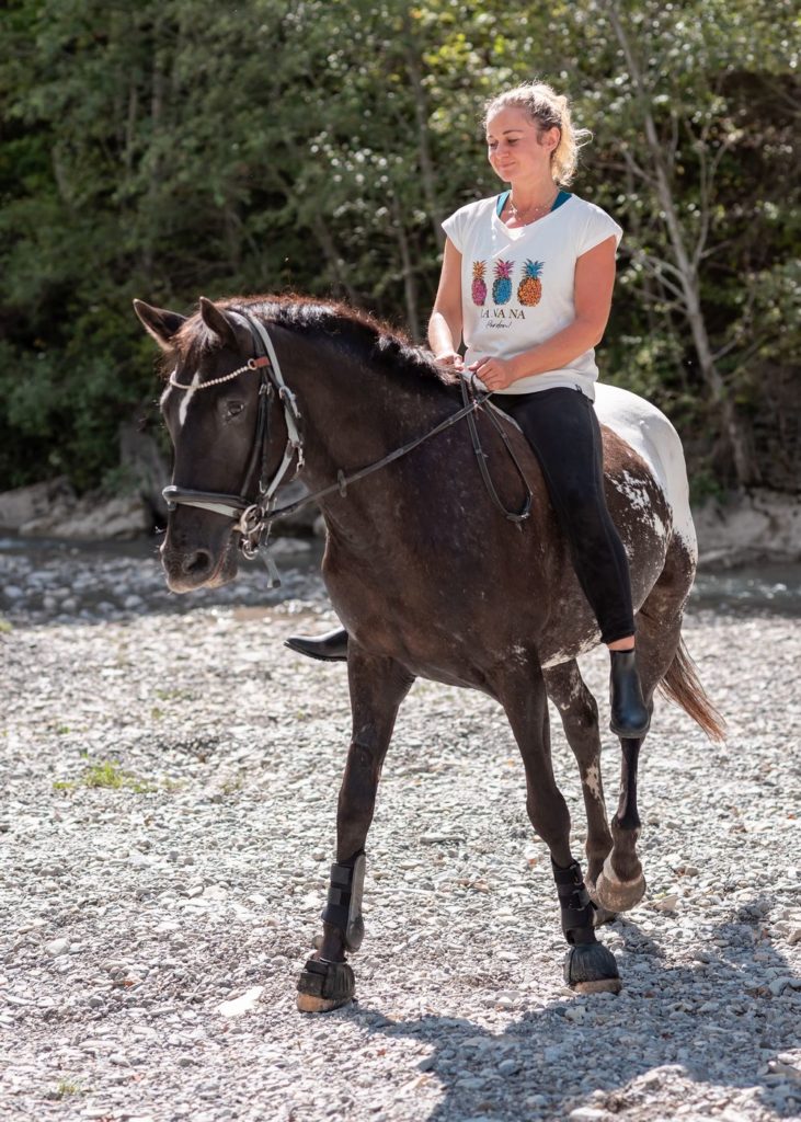 gites le riou clumanc alpes du sud