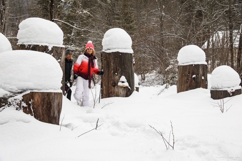 L'hiver dans le massif de la Chartreuse : où dormir ? que faire ? que voir ? Idées d'activités en hiver en Chartreuse, à côté de Grenoble. Marche nordique en Chartreuse