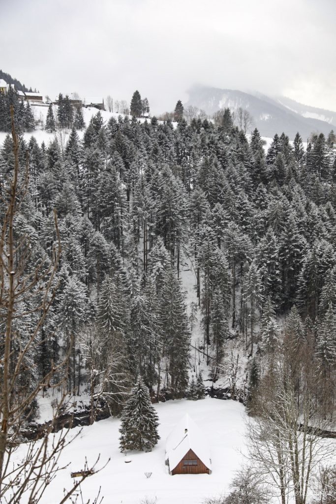 L'hiver dans le massif de la Chartreuse : où dormir ? que faire ? que voir ? Idées d'activités en hiver en Chartreuse, à côté de Grenoble