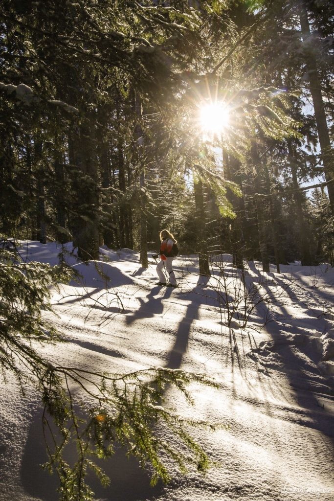 L'hiver dans le massif de la Chartreuse : où dormir ? que faire ? que voir ? Idées d'activités en hiver en Chartreuse, à côté de Grenoble