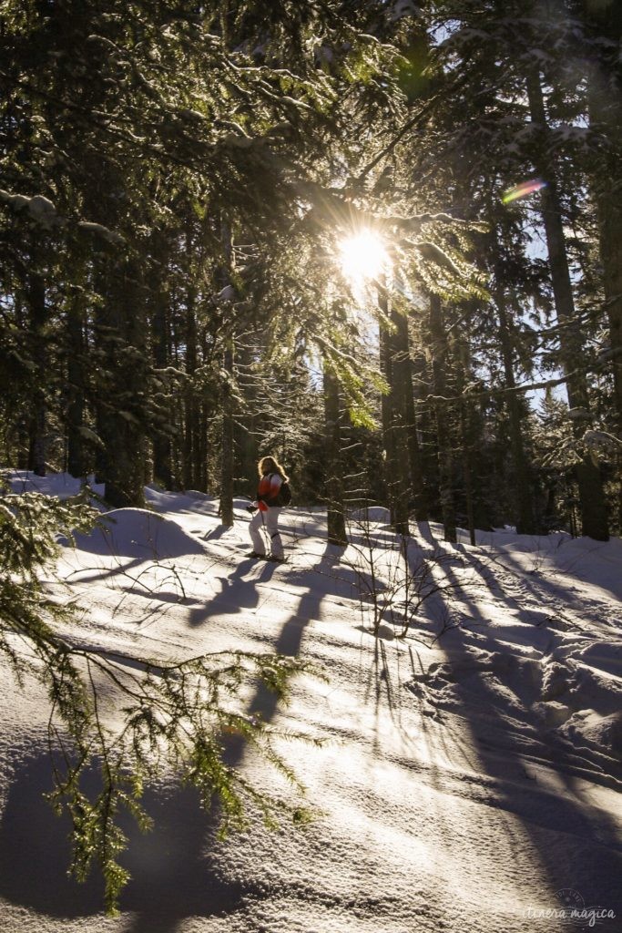 stations de ski familiales en france