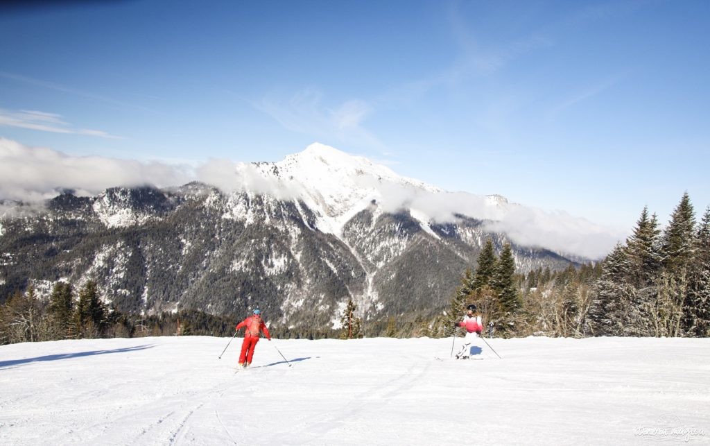 Sauvons les petites stations de ski : plaidoyer en faveur des enneigeurs et des hélicos.