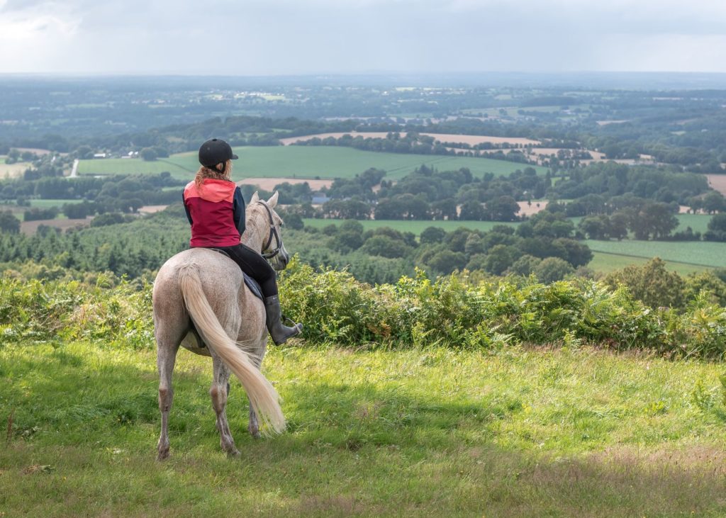 Blog sur un séjour en Mayenne, entre Sainte Suzanne, Château Gontier, tourisme équestre, cabanes et bonnes adresses. Que faire et que voir en Mayenne ?