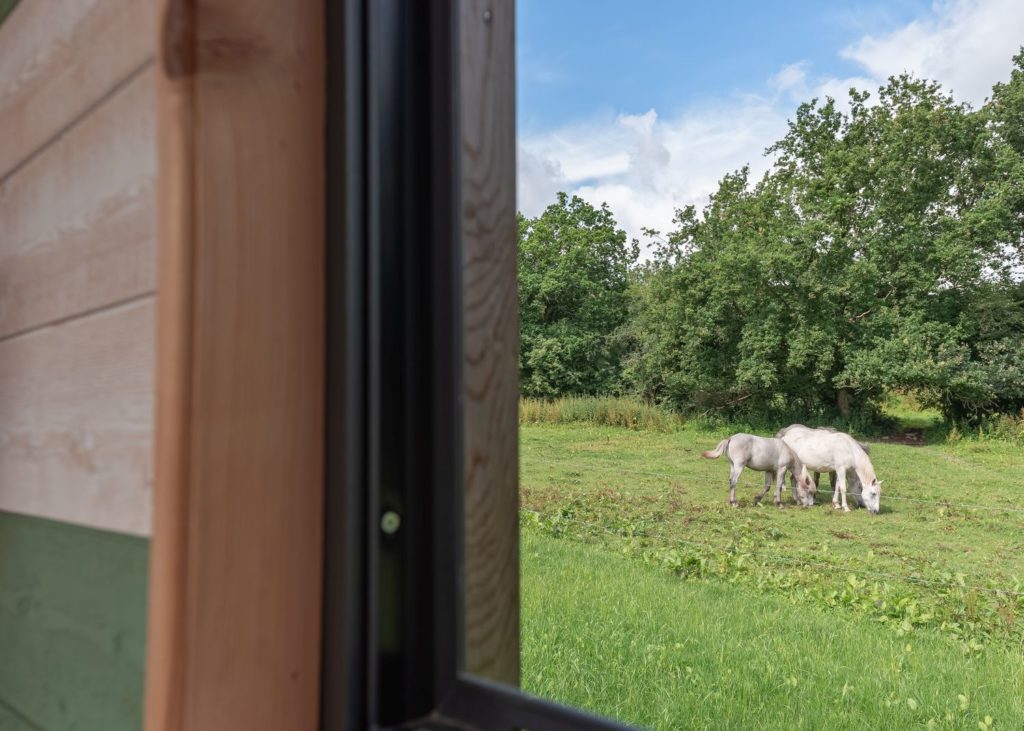 Blog sur un séjour en Mayenne, entre Sainte Suzanne, Château Gontier, tourisme équestre, cabanes et bonnes adresses. Que faire et que voir en Mayenne ?