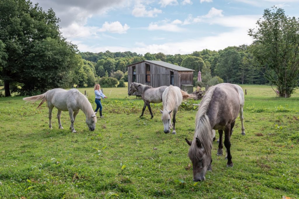 Blog sur un séjour en Mayenne, entre Sainte Suzanne, Château Gontier, tourisme équestre, cabanes et bonnes adresses. Que faire et que voir en Mayenne ?