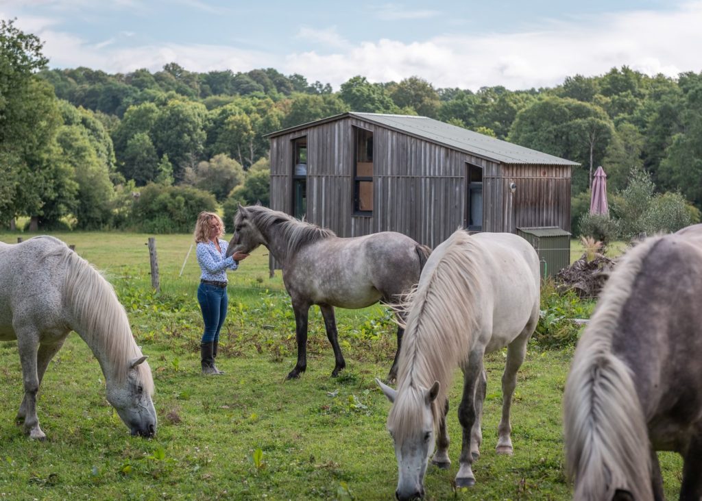 Blog sur un séjour en Mayenne, entre Sainte Suzanne, Château Gontier, tourisme équestre, cabanes et bonnes adresses. Que faire et que voir en Mayenne ?