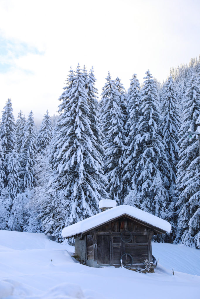 Que voir à Megève ? Blog sur un séjour d'hiver à Megève, avec bonnes adresses, ski de rando, survol du Mont Blanc, calèches, igloo...