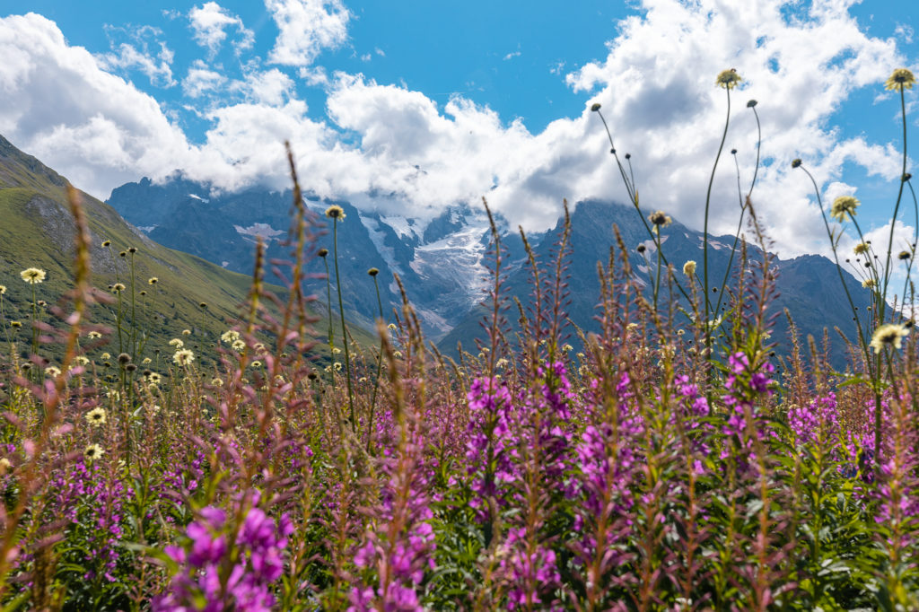 Autour de la Meije : randonnées et jardin alpin du Lautaret