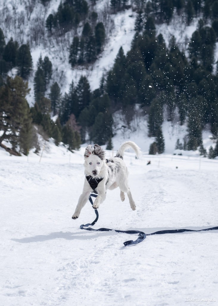 Que voir, que faire à Méribel ? Merveilleux séjour ski aux pieds à l'hôtel Le Mottaret, à Méribel, et découvertes au coeur des 3 Vallées.