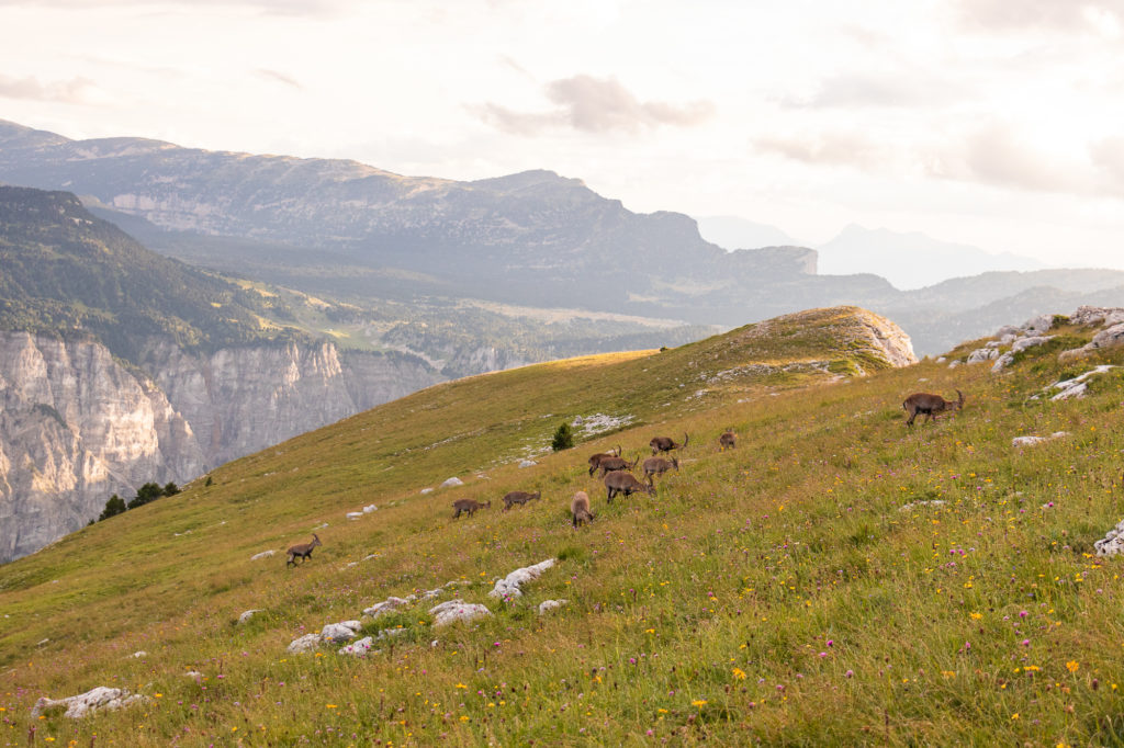 Le mont aiguille