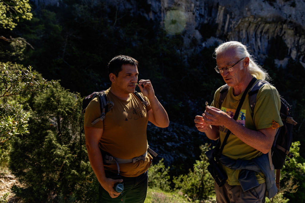 gorges de la nesque rando