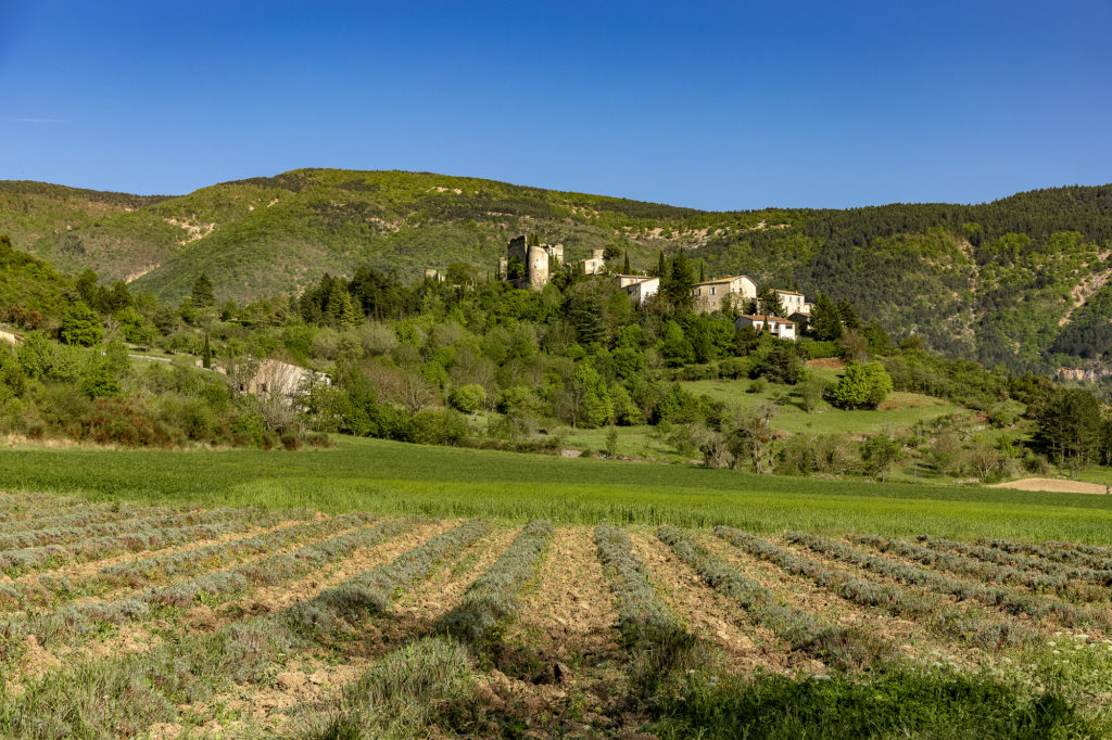 Un séjour en Haute Provence authentique : le village des Lavandes à Montbrun-les-Bains, le secret le mieux gardé de la Drôme provençale, entre lavandes et Ventoux.